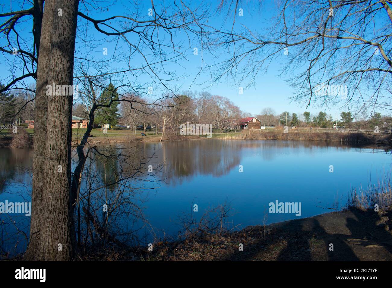 Riflessi di alberi locali, vegetazione e cielo, in un piccolo lago a Holmdel Park, New Jersey, in una giornata di sole -03 Foto Stock