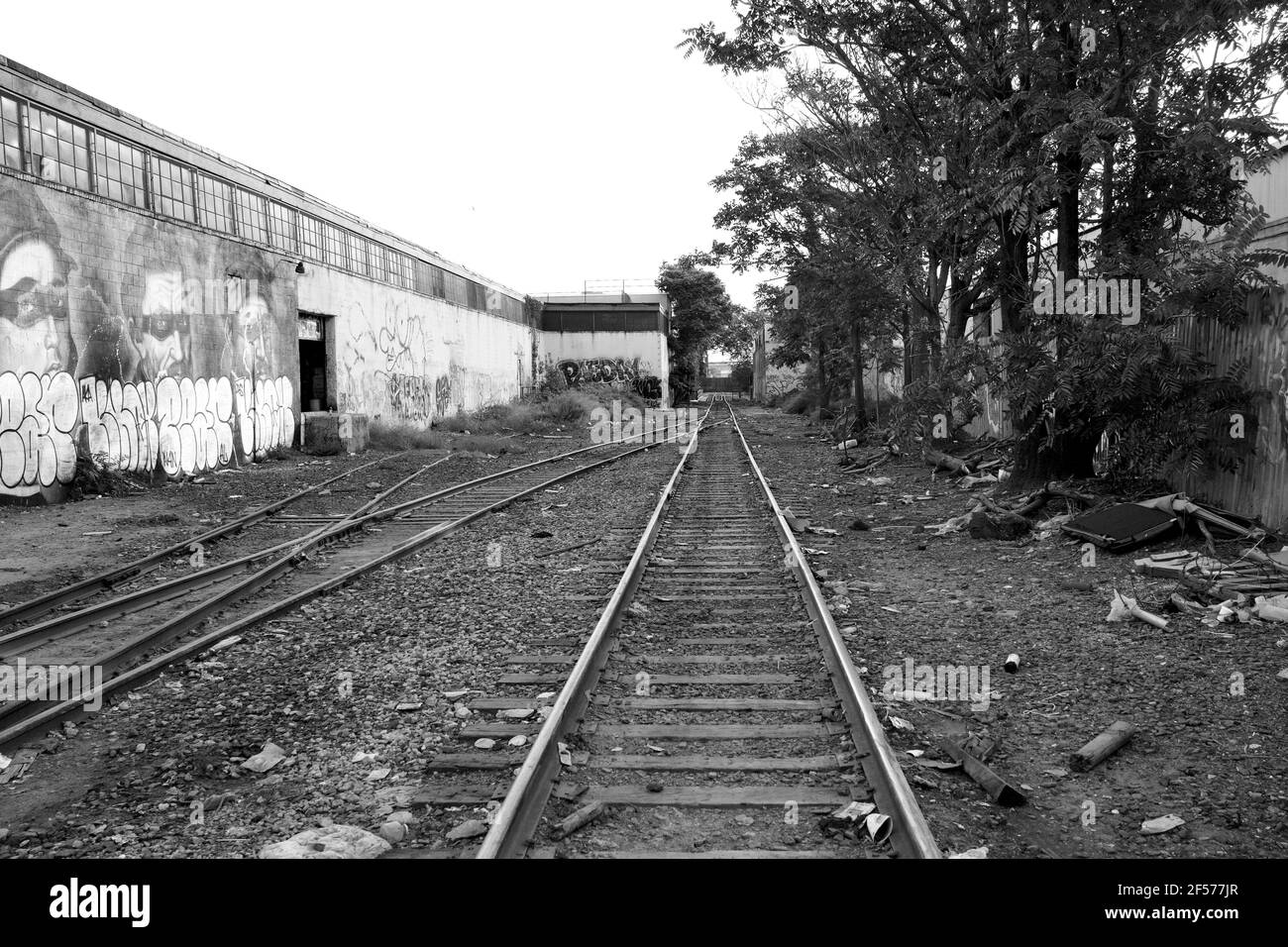 Binari ferroviari dell'ex Ferrovia Meridionale di Long Island, filiale di Atlantic Avenue a Bushwick Brooklyn, New York City, USA. Foto Stock