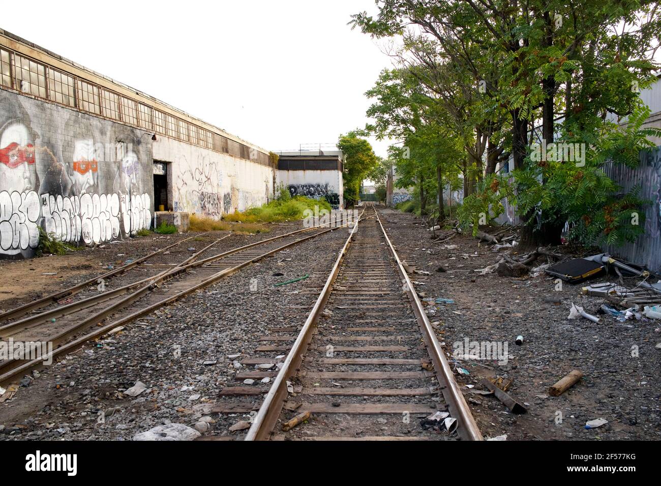 Binari ferroviari dell'ex Ferrovia Meridionale di Long Island, filiale di Atlantic Avenue a Bushwick Brooklyn, New York City, USA. Foto Stock