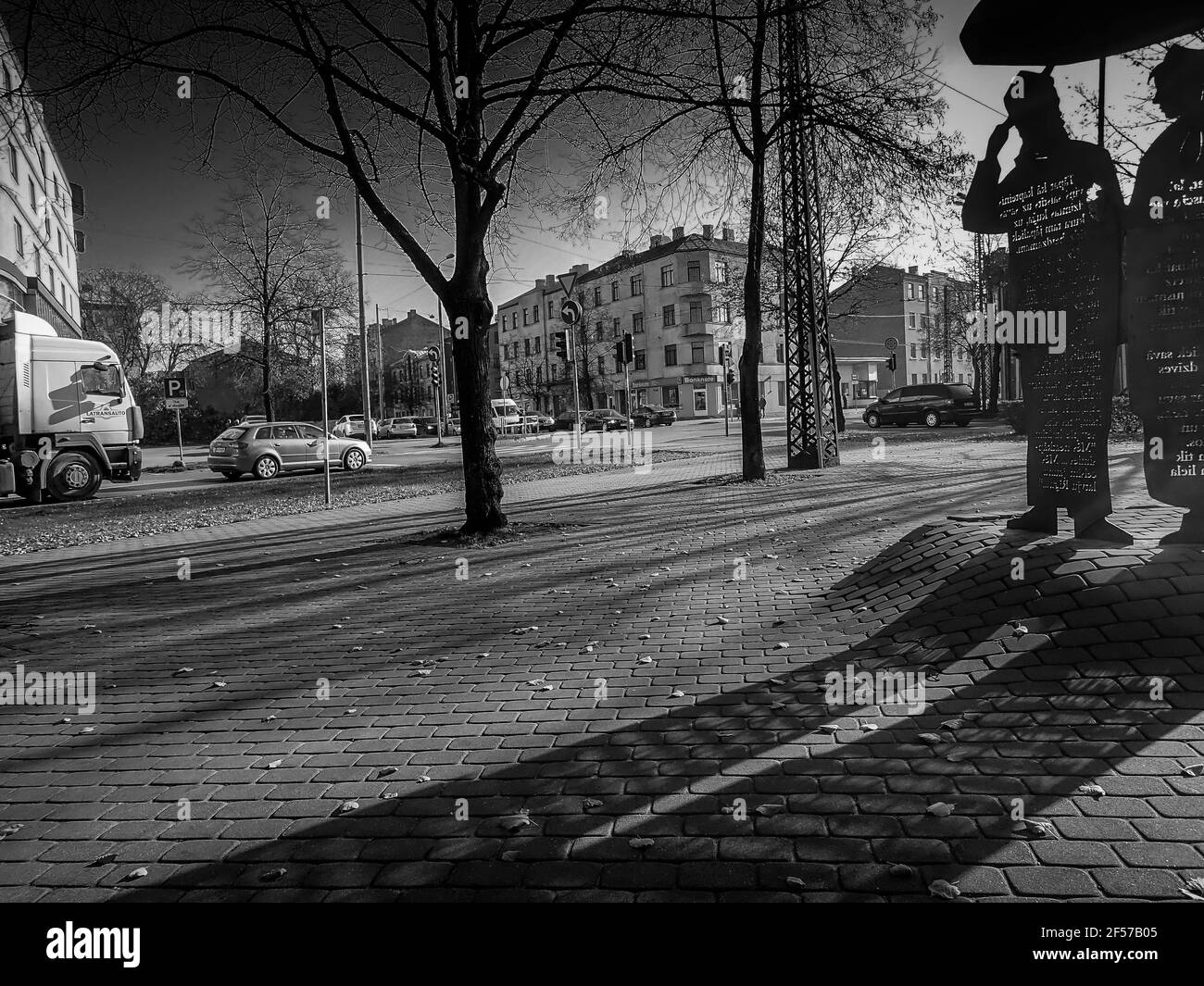 Cespugli di colore autunnale con foglie luminose e panca in legno in un parco cittadino. Fiori bianchi in primo piano. Foto Stock
