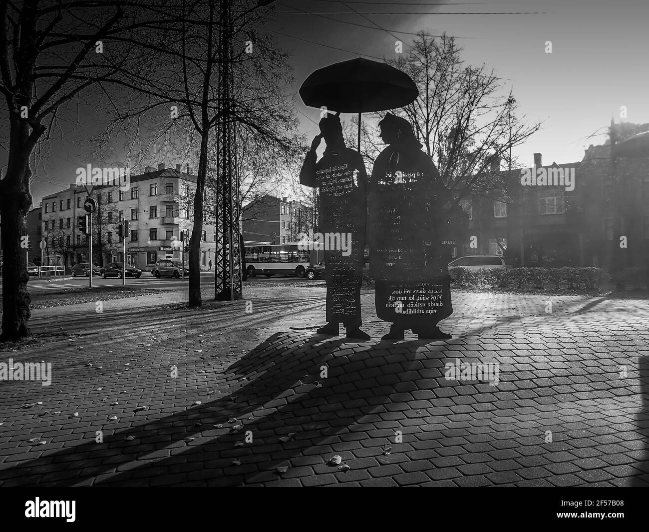Cespugli di colore autunnale con foglie luminose e panca in legno in un parco cittadino. Fiori bianchi in primo piano. Foto Stock