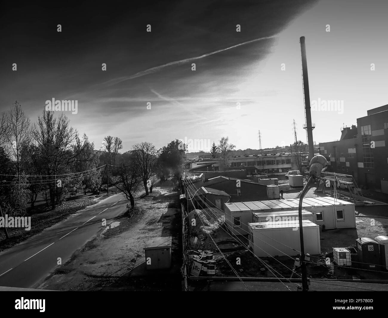 Cespugli di colore autunnale con foglie luminose e panca in legno in un parco cittadino. Fiori bianchi in primo piano. Foto Stock