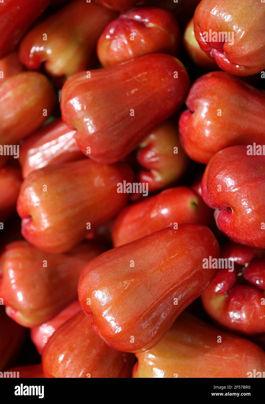 Closeup Heap di Vibrant Red Waxy Skin Mela Rosa acquosa Frutta in vendita nel mercato Foto Stock