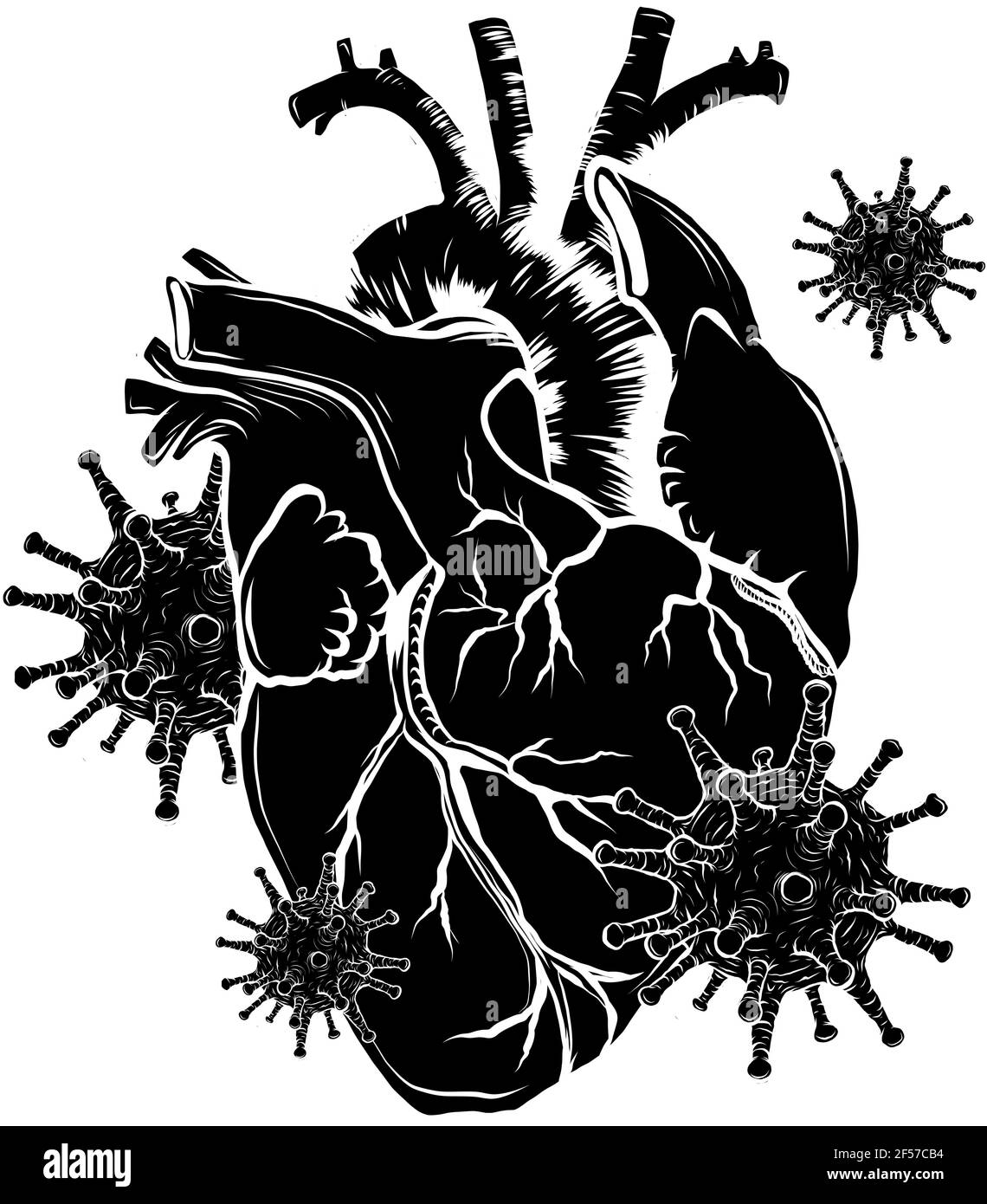silhouette nera del virus infettano un'illustrazione del vettore del cuore umano Illustrazione Vettoriale