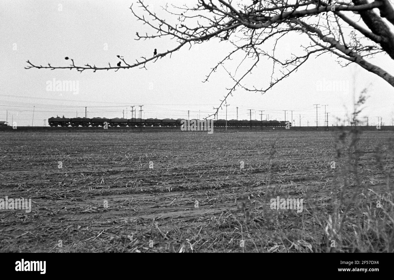 11 novembre 1981, Sassonia, Delitzsch: Estrazione della lignite. Un treno di carbone lascia la miniera a cielo aperto di Delitzsch Südwest alla fine del 1981. La data esatta della foto non è nota. Foto: Volkmar Heinz/dpa-Zentralbild/ZB Foto Stock