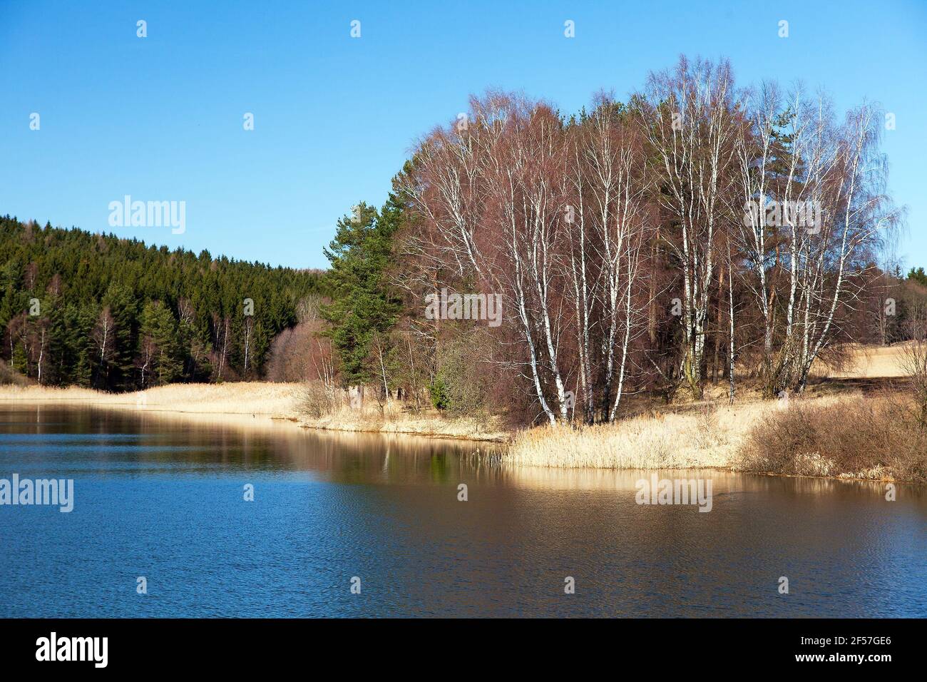 Vista autunnale del laghetto, Boemia e Moravia, Repubblica Ceca Foto Stock