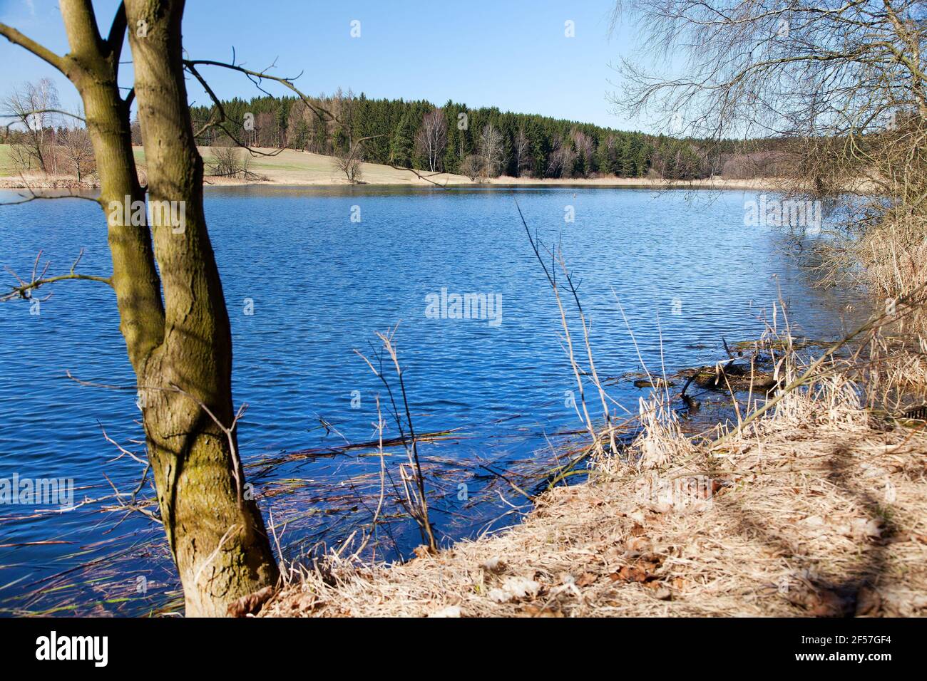 Vista autunnale del laghetto, Boemia e Moravia, Repubblica Ceca Foto Stock