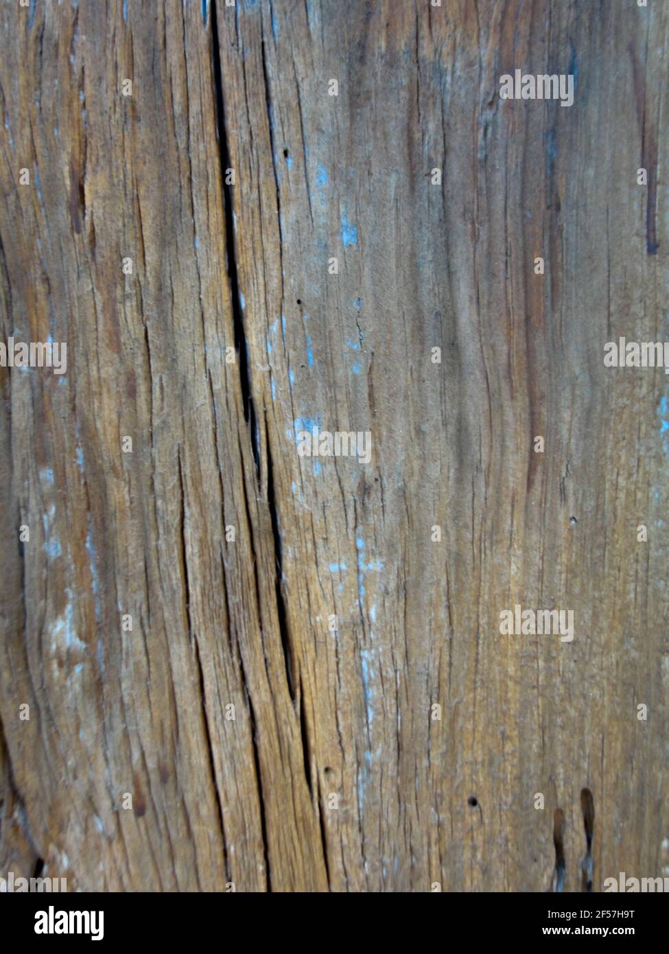 Superficie di fondo di legno scuro con vecchio disegno naturale, Foto Stock