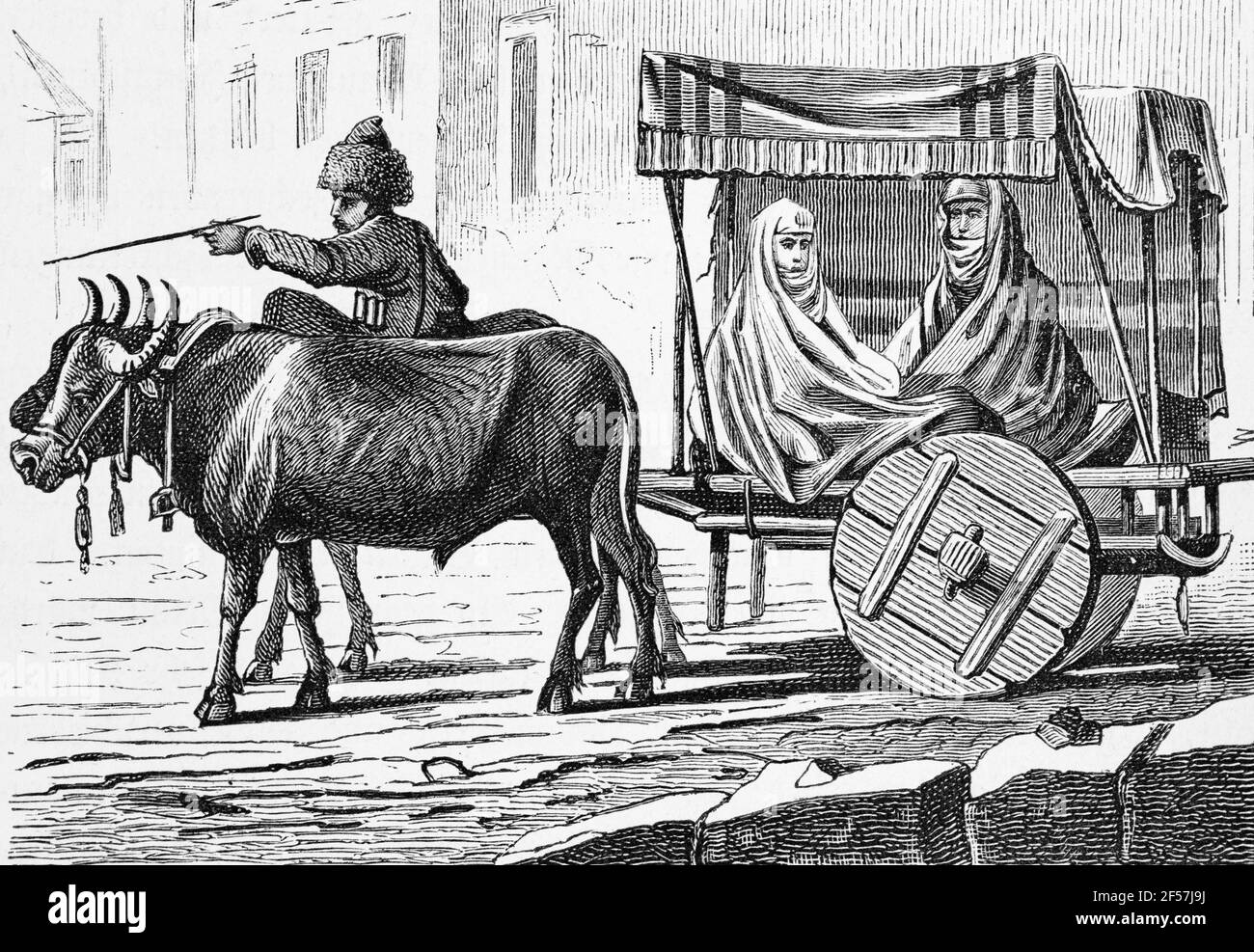 Trasporto caucasico per donne, carrello aperto guidato da due buoi, incisione in legno, Wien. Lipsia 1881 Foto Stock