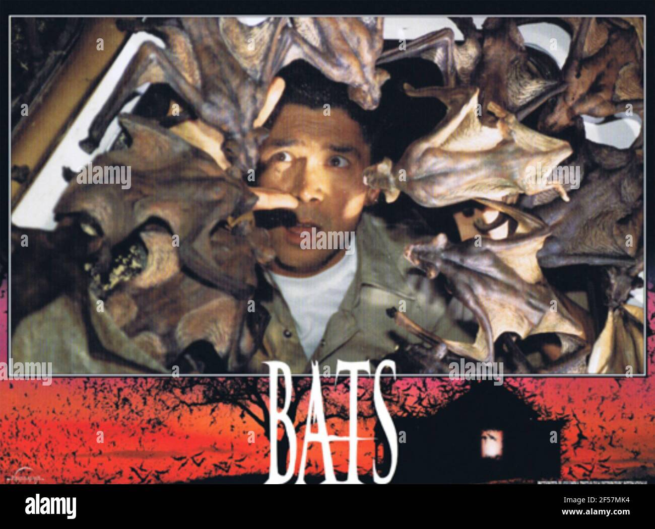 FILM BATS 1999 Columbia/TriStar con Lou Diamond Phillips Foto Stock