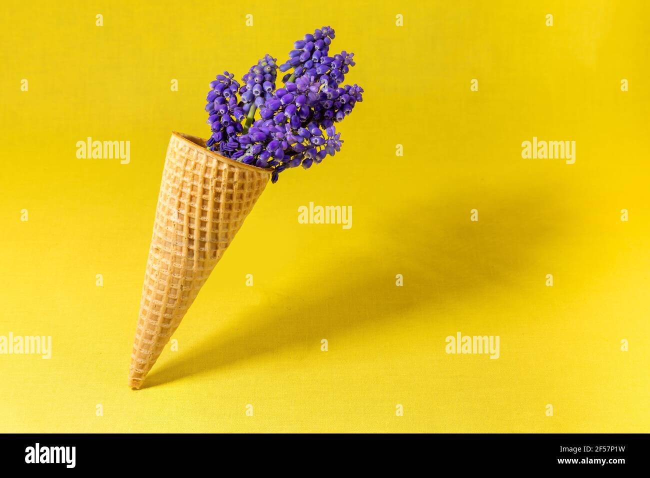 Cono gelato con fiori su sfondo giallo. Vista laterale, spazio copia, concetto di fiori primaverili Foto Stock