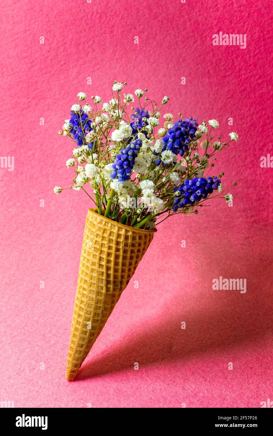 Cono gelato con fiori su sfondo rosa. Vista laterale, spazio copia, concetto di fiori primaverili Foto Stock