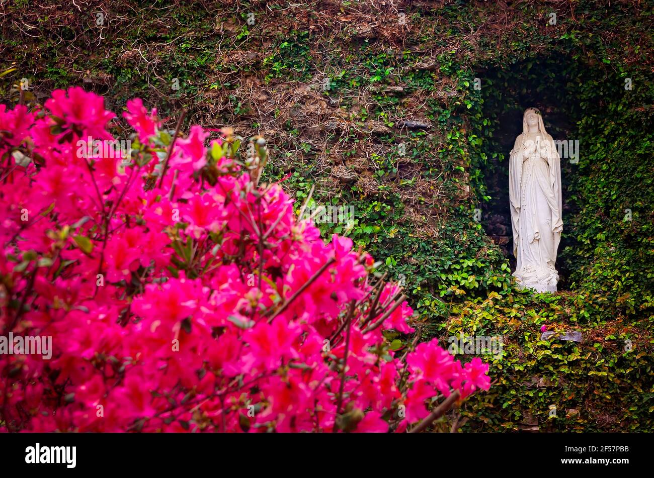 Le azalee rosa fioriscono alla Grotta di Lourdes al Spring Hill College, 21 marzo 2021, a Mobile, Alabama. Foto Stock