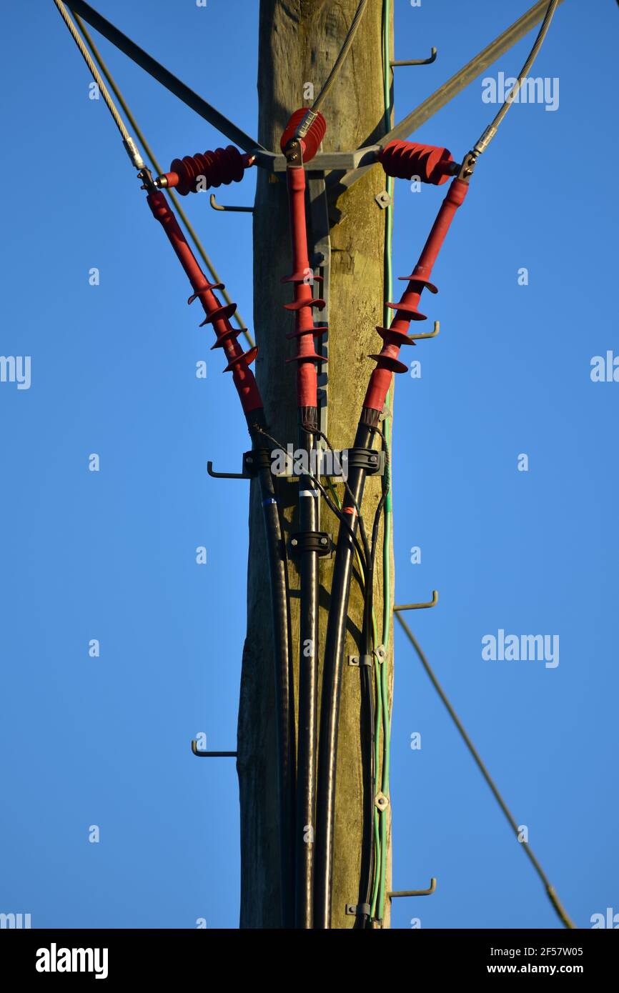 Particolare di palo elettrico in legno con cavi isolati trifase che scendono a terra. Foto Stock