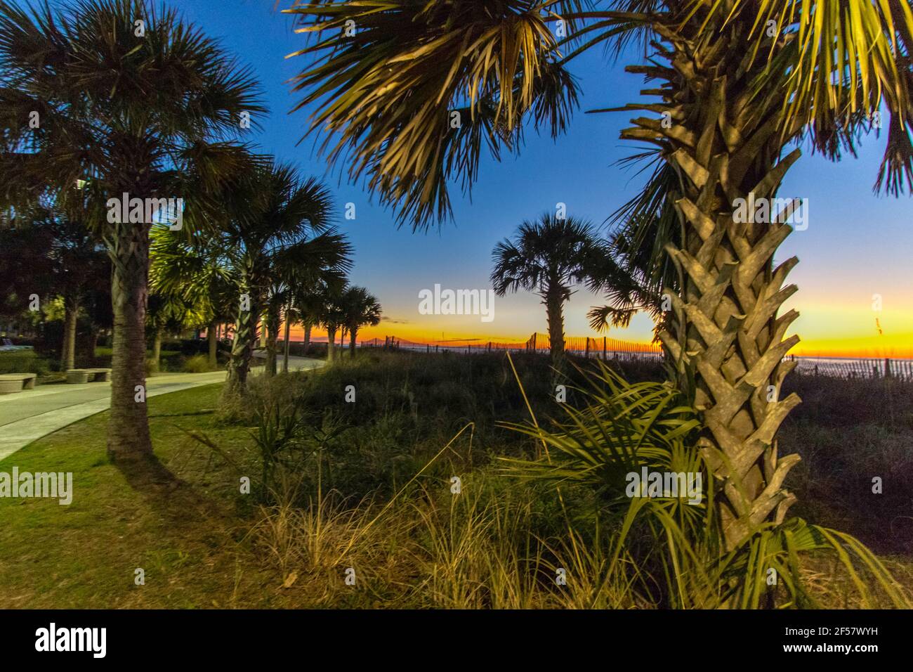 Alba mattutina sulla passerella sulla costa dell'Oceano Atlantico nel centro di Myrtle Beach, Carolina del Sud. Foto Stock