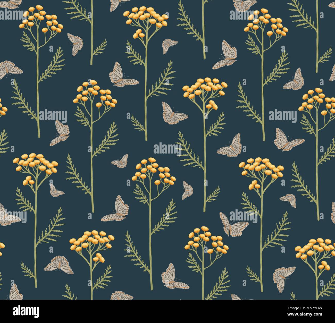 Tanacetum e farfalle su uno sfondo blu scuro.senza cuciture modello con fiori di tansy e farfalle. Illustrazione botanica disegnata a mano Foto Stock