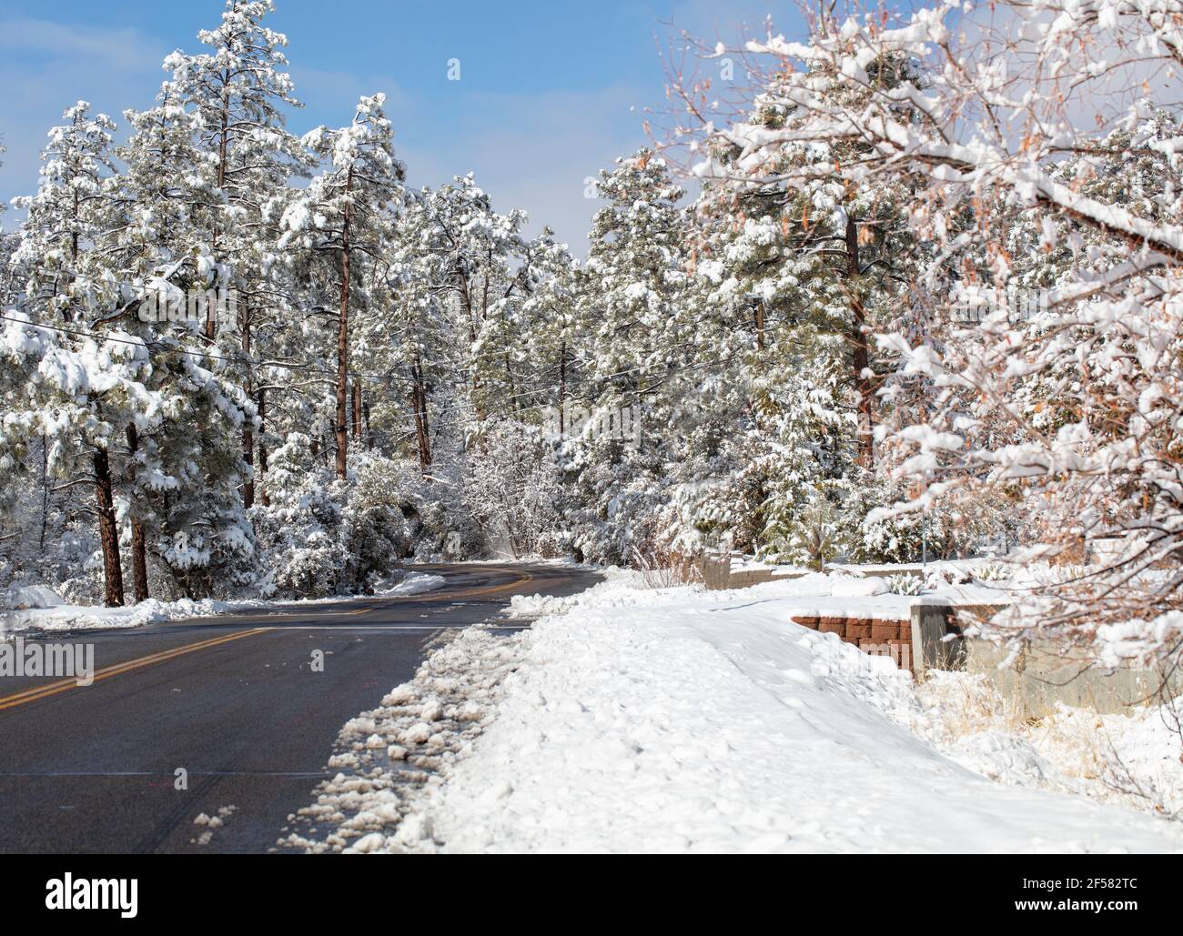 Bella neve dopo una tempesta nelle montagne di Prescott, Arizona in una comunità locale Foto Stock