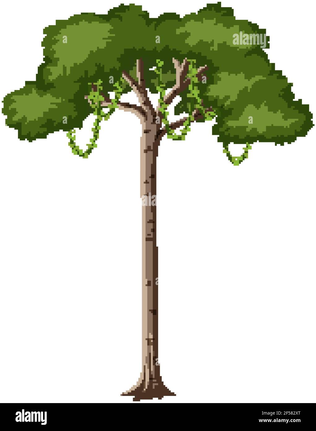 Singolo albero della foresta pluviale isolato su sfondo bianco illustrazione Illustrazione Vettoriale