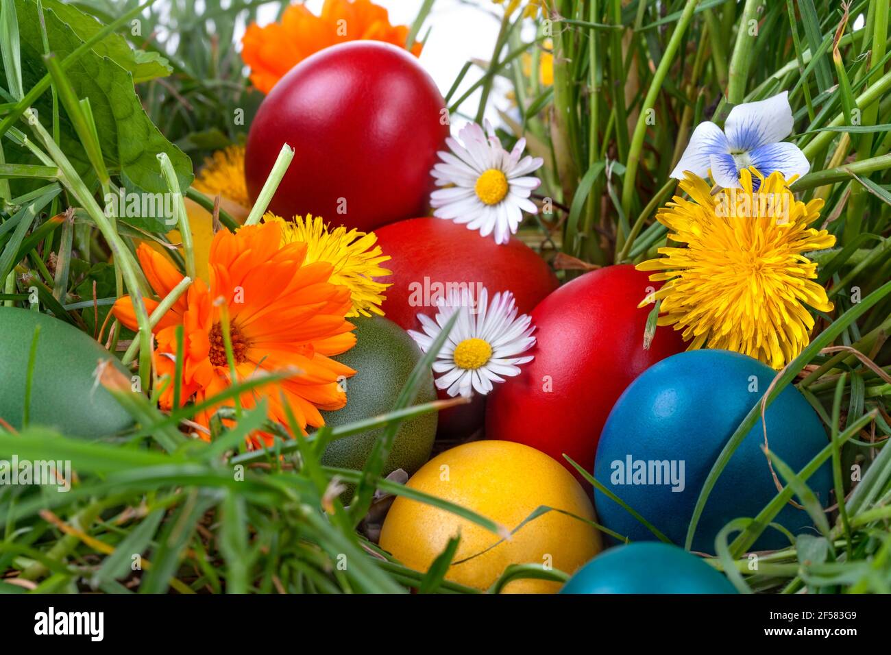 Uova di Pasqua colorate dipinte tradizionalmente nell'erba e nei fiori Foto Stock