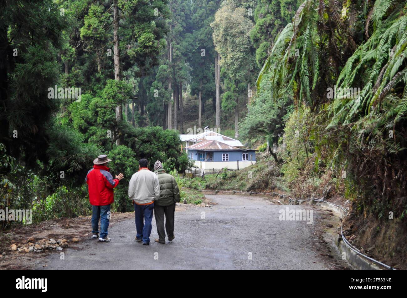 Tre amici che camminano attraverso la foresta vergine nel villaggio della foresta dell'himalaya Foto Stock