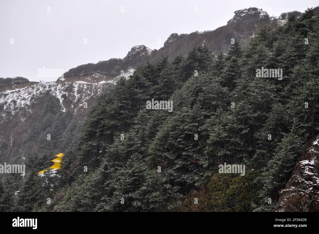 Tempio nepalese con tetto giallo sulla cima della collina, strada a spirale coperta di neve, strada che conduce al tempio Foto Stock
