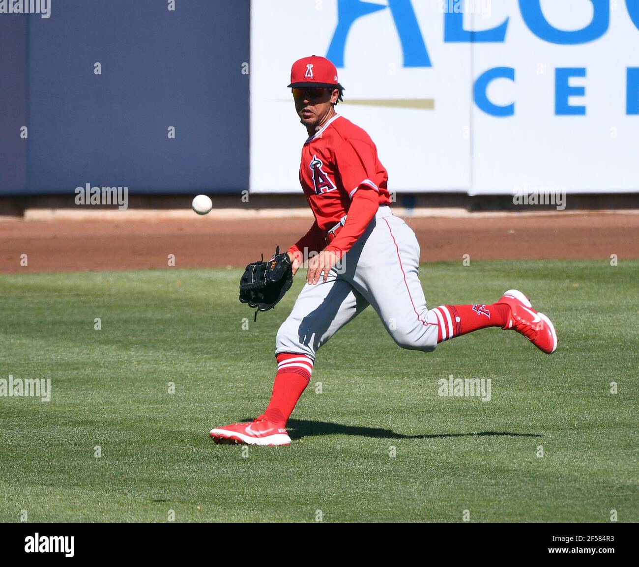 Jon Jay dei Los Angeles Angels gioca durante una partita di allenamento primaverile della MLB all'American Family Fields, lunedì 8 marzo 2021, a Phoenix, AZ. (Chris Bernacci/immagine dello sport) Foto Stock