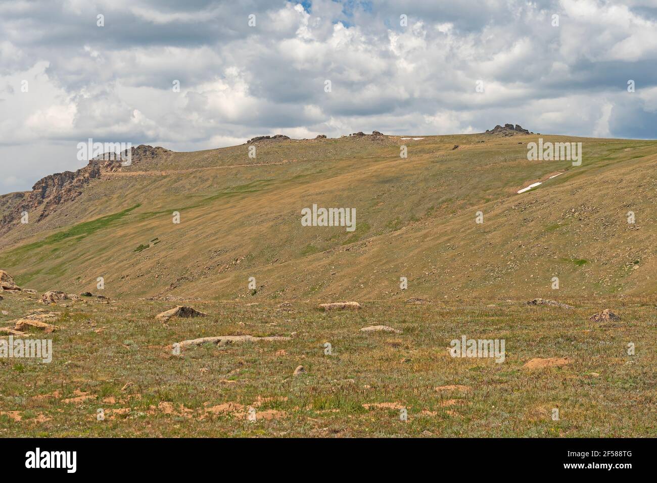 Alto sopra la Treeline su Alpine Tundra in Rocky Mountain Parco nazionale in Colorado Foto Stock