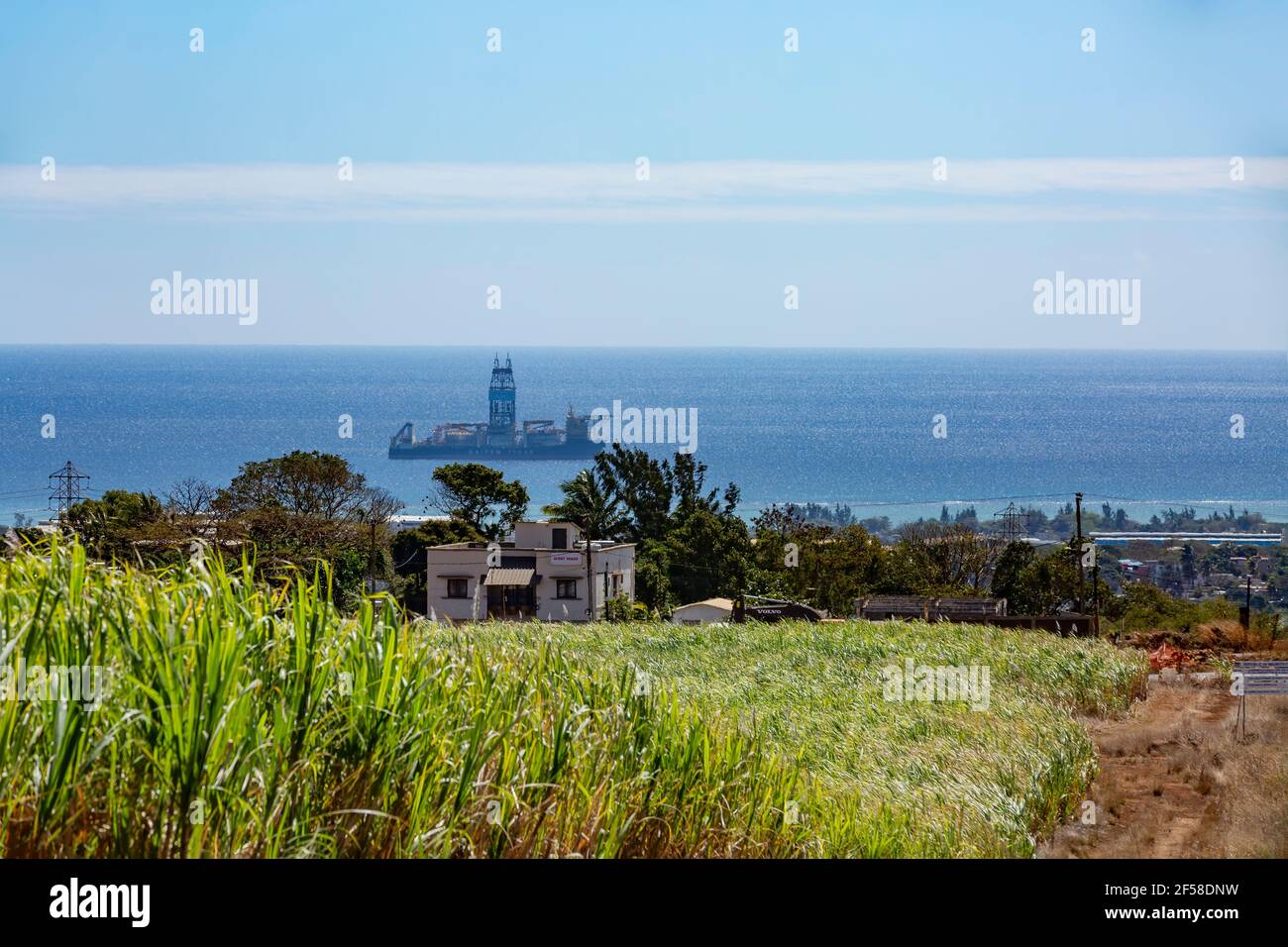 campo di canna da zucchero con mare sullo sfondo. Foto Stock