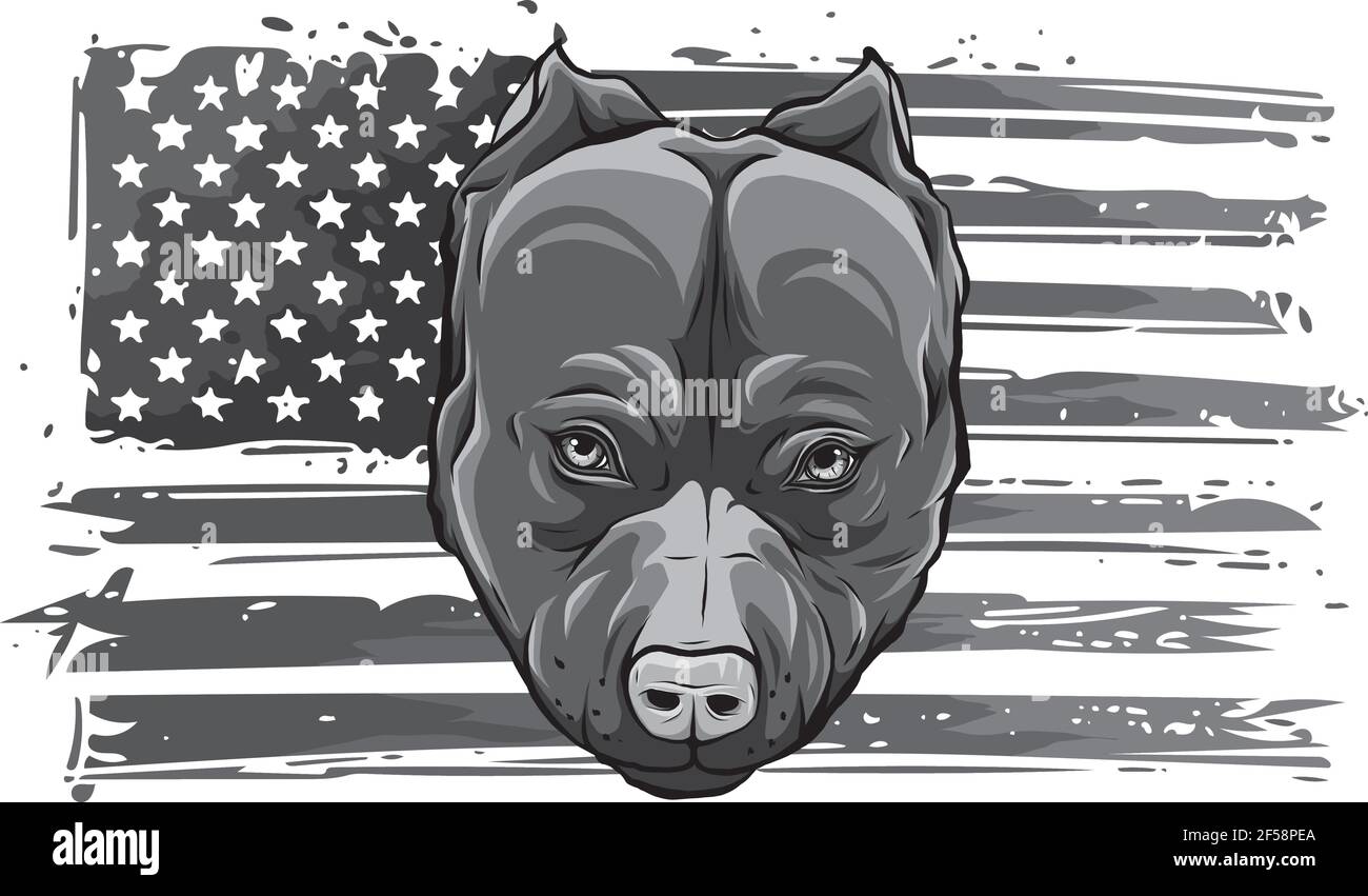 Disegno di testa Bully Dog con bandiera americana Illustrazione Vettoriale
