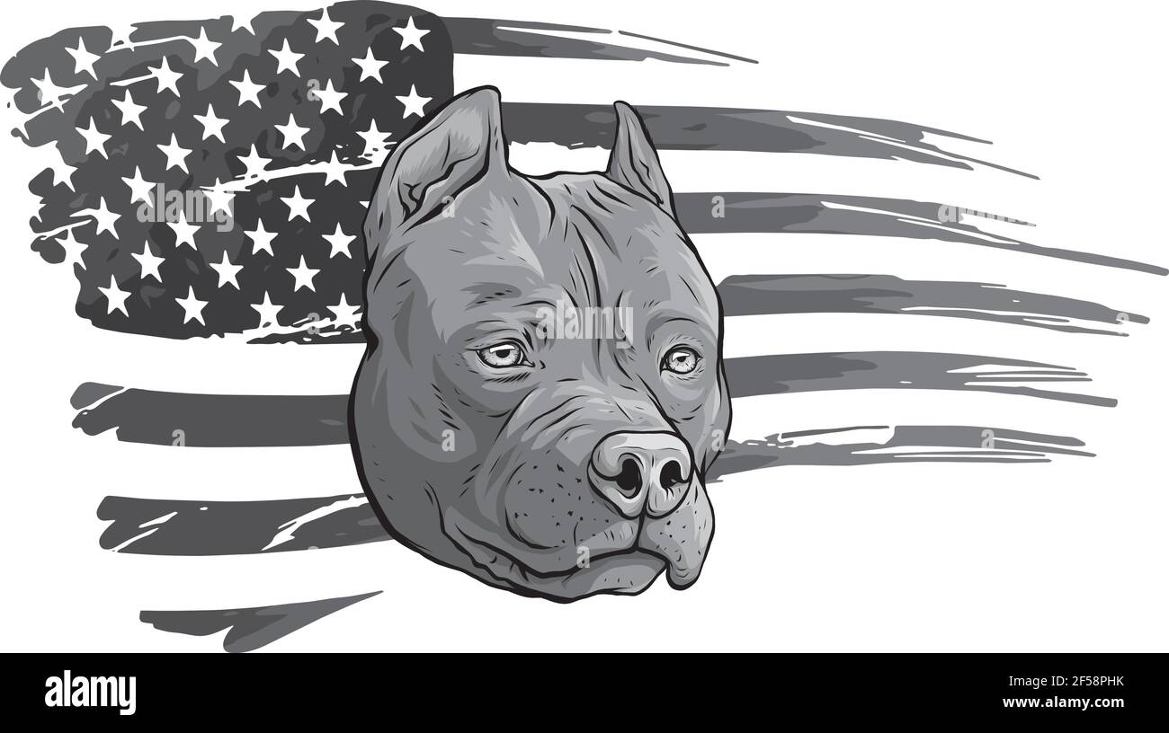 Disegno del pitbull della testa con illustrazione del vettore di bandiera americano Illustrazione Vettoriale