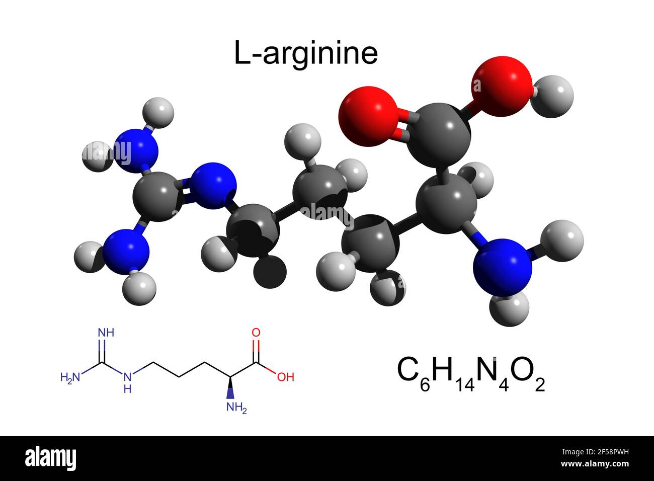 Formula chimica, formula strutturale e modello 3D a sfera e bastone di L-arginina, un aminoacido essenziale, fondo bianco Foto Stock
