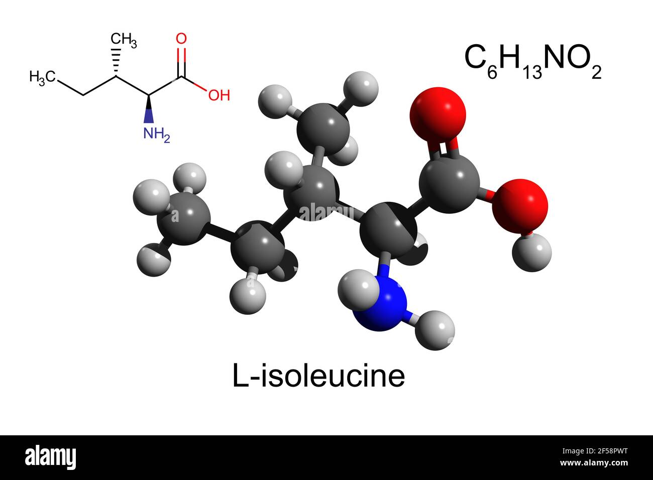 Formula chimica, formula strutturale e modello 3D a sfera e bastone di L-isoleucina, un aminoacido essenziale, fondo bianco Foto Stock