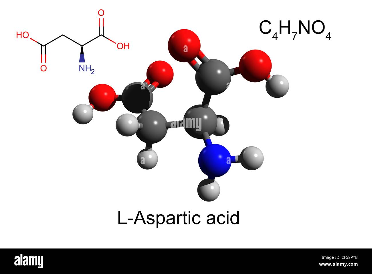 Formula chimica, formula strutturale e modello 3D a sfera e bastone di acido L-aspartico, fondo bianco Foto Stock