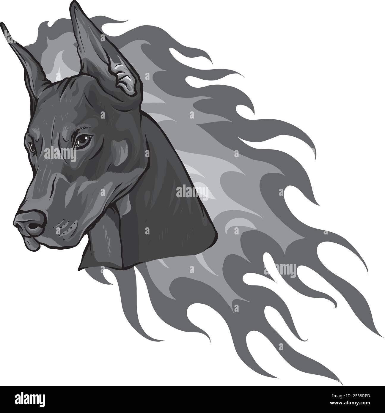 Disegno della testa del cane Dobermann con illustrazione vettoriale delle fiamme Illustrazione Vettoriale