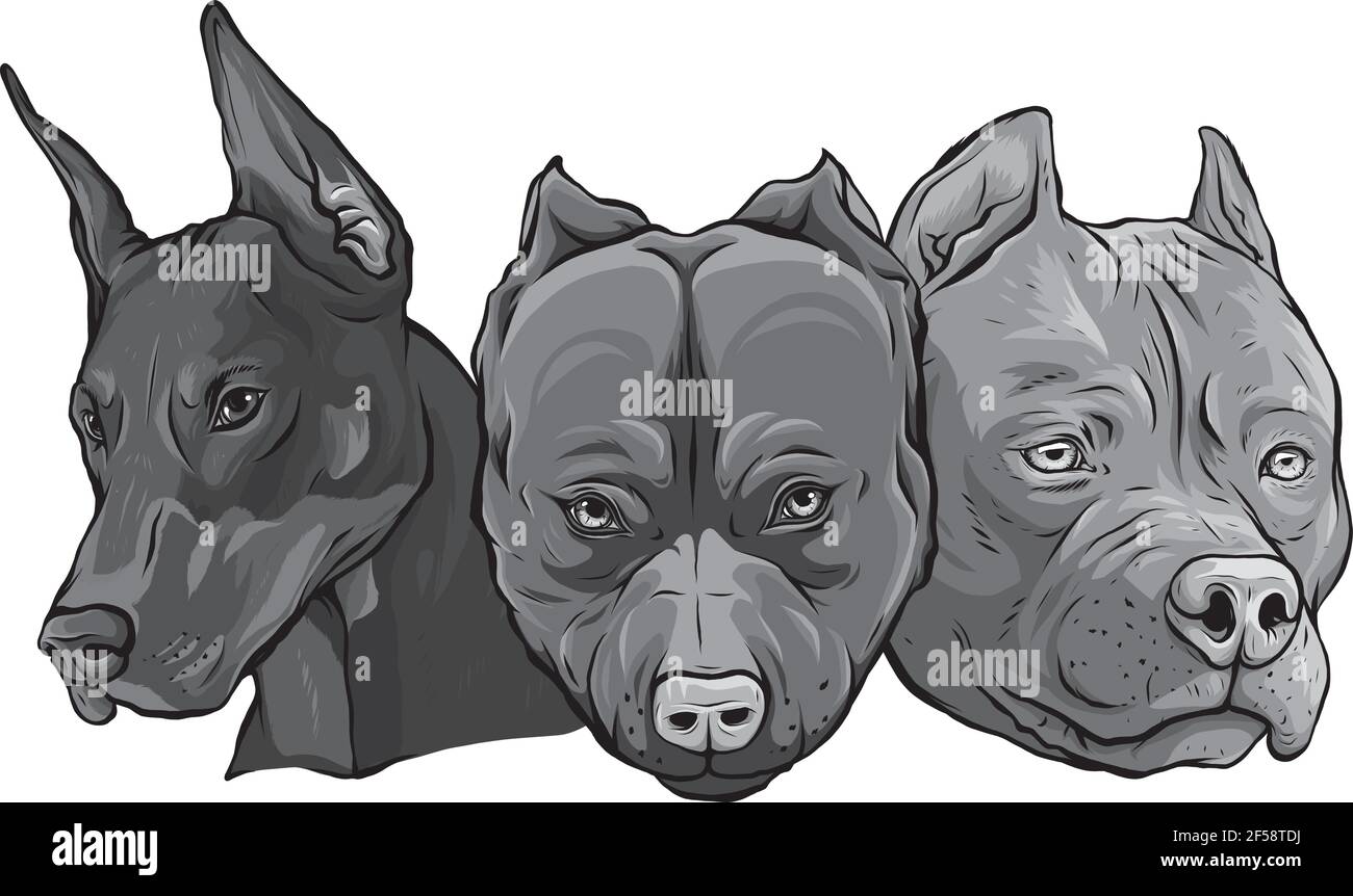 Disegno di teste di cani pitbull dobermann vettore bulldog Illustrazione Vettoriale