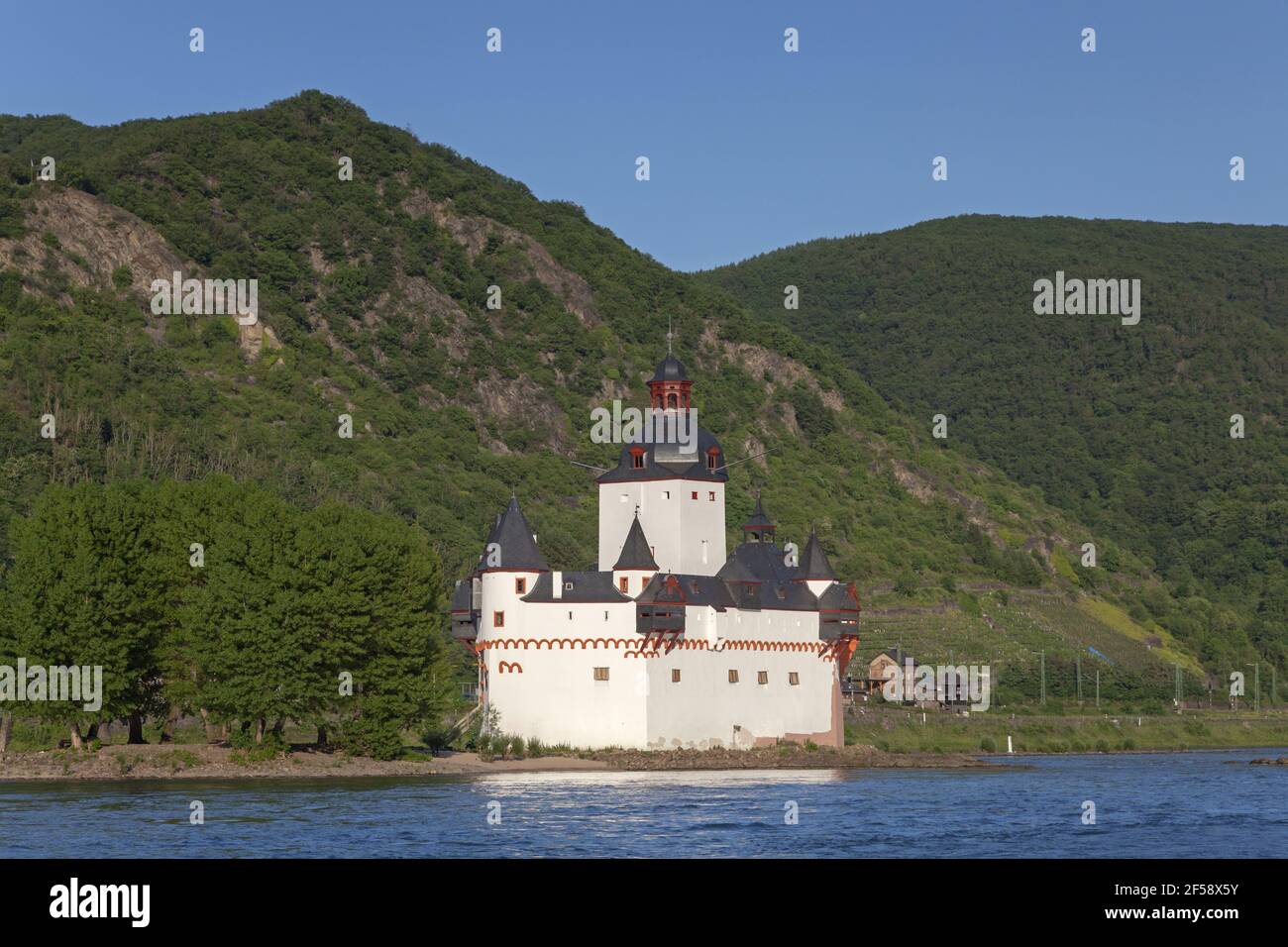 Geografia / viaggio, Germania, Renania-Palatinato, Kaub, Castello di Pfalzgrafenstein a Kaub sul Reno, diritti aggiuntivi-clearance-Info-non-disponibile Foto Stock
