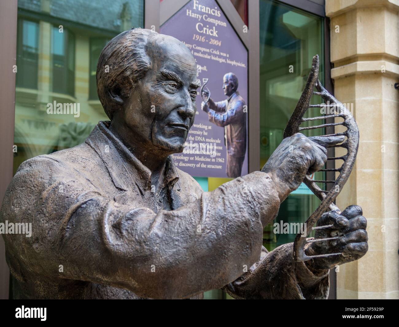 Statua del vincitore del Premio Nobel Francis Crick, Guildhall, Northampton; è stato istruito presso la locale scuola di grammatica e di co-scoperto la molecola di DNA Foto Stock