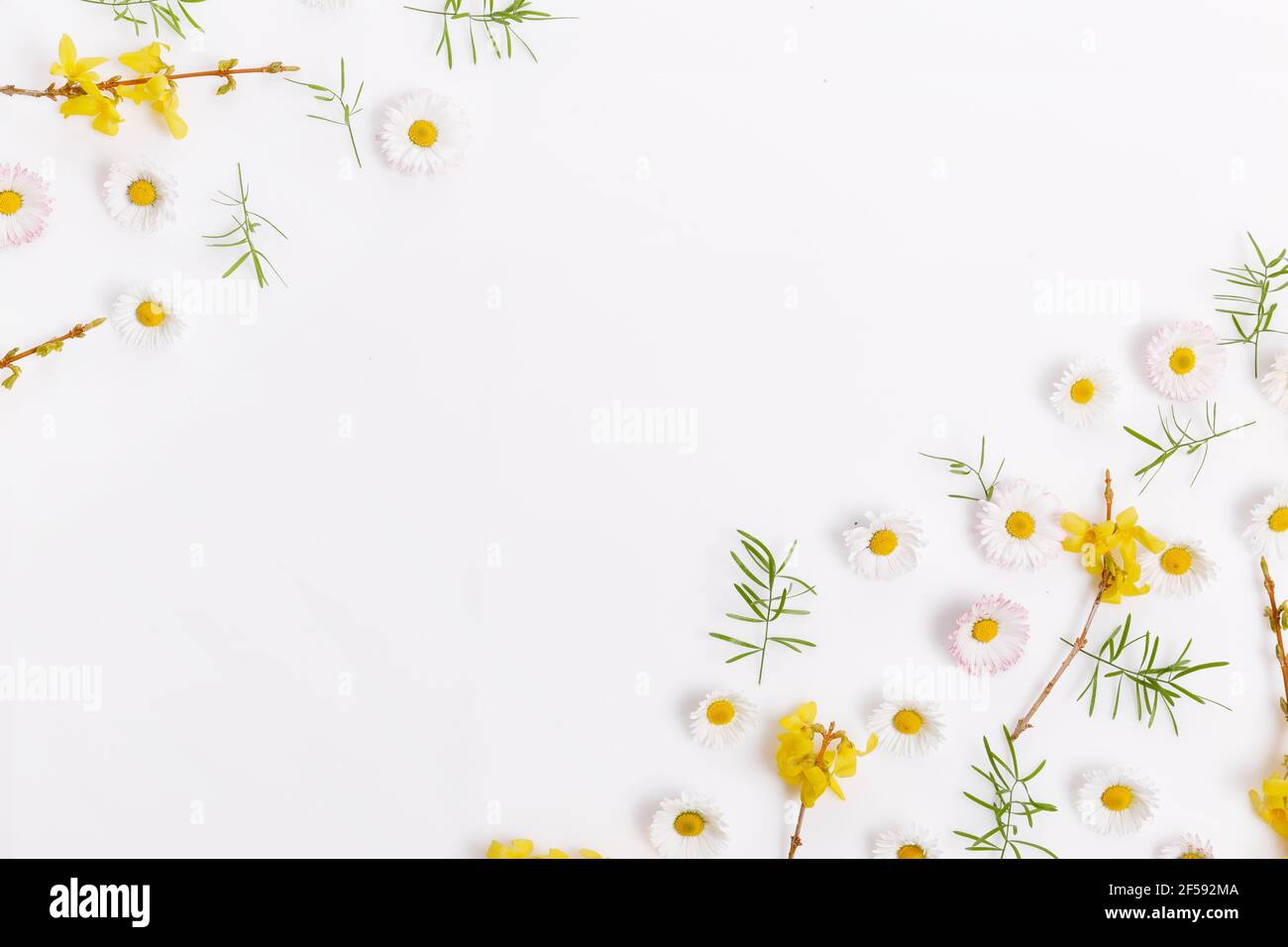 Cornice primavera di piccoli fiori e margherite, disposizione floreale Foto  stock - Alamy