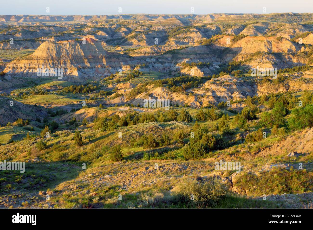 Geografia / viaggio, USA, North Dakota, Theodore Roosevelt National Park, Badlands, Theodore Roosevelt , Additional-Rights-Clearance-Info-Not-Available Foto Stock