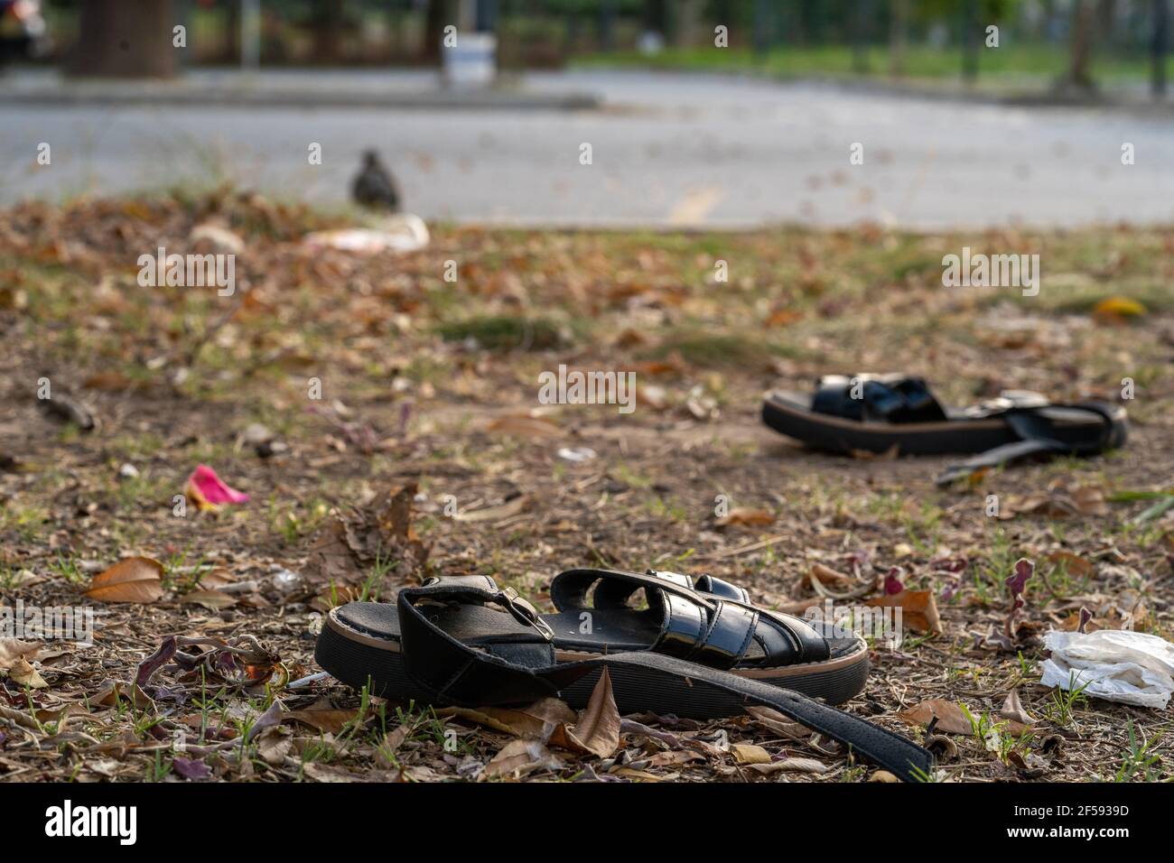 Closeup di sandali sul terreno coperto di foglie secche in un parco con uno sfondo sfocato Foto Stock
