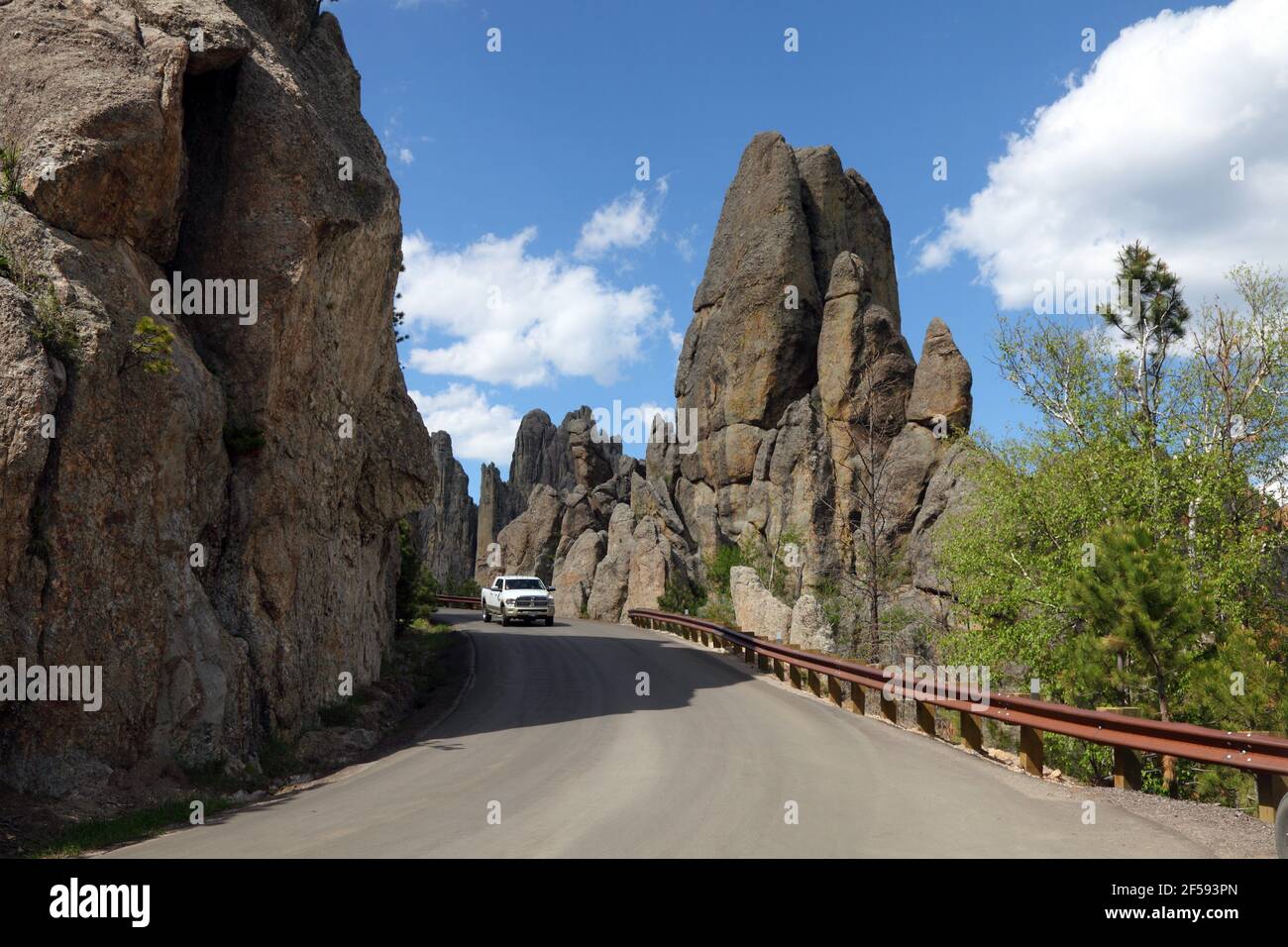 Geografia / viaggio, Stati Uniti, South Dakota, Custer state Park, Needles, Custer state Park, Black Hill, diritti aggiuntivi-clearance-informazioni-non-disponibili Foto Stock