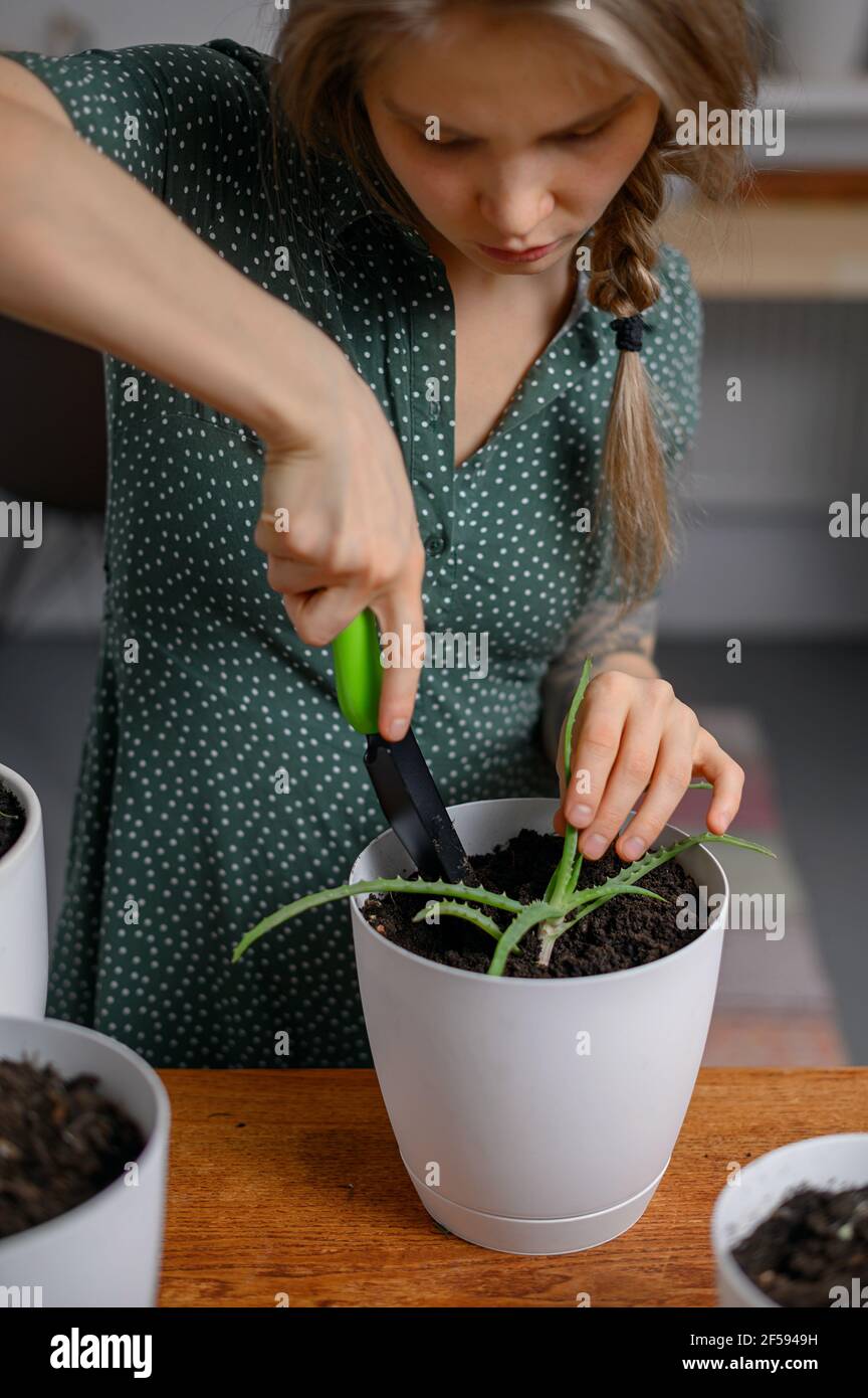 Ragazza trapiantando piante a casa in vasi bianchi Foto Stock