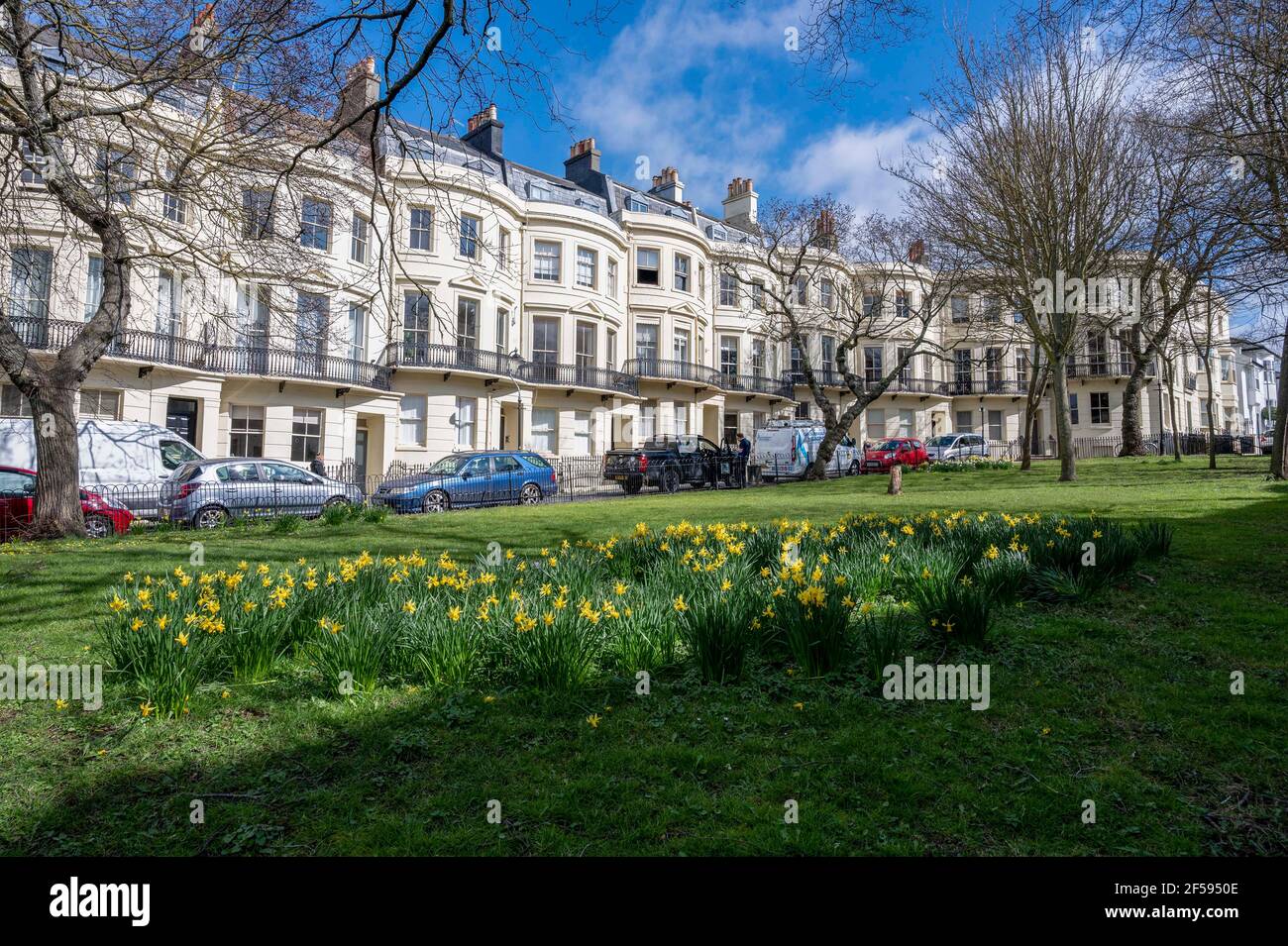 Powis Square con narcisi primaverili a Brighton Sussex UK Foto Stock