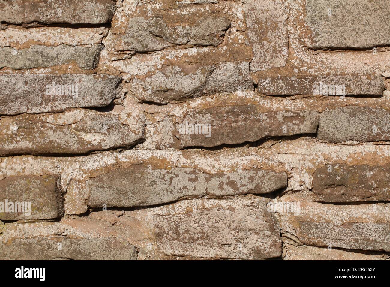 Muro di pietra modello di arenaria con Malta tra pietra ruvida forme Foto Stock