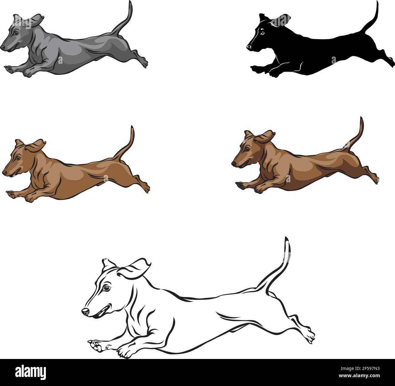 Dachshund, figura dachshund, vettore, posizioni diverse, illustrazione, bianco e nero, colore, silhouette Illustrazione Vettoriale