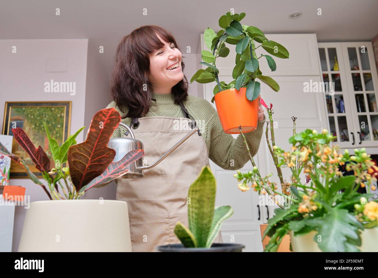 Giovane donna che ride mentre sta annaffiando e si sta prendendo cura delle sue piante a casa. Piante interne e di casa. Foto Stock