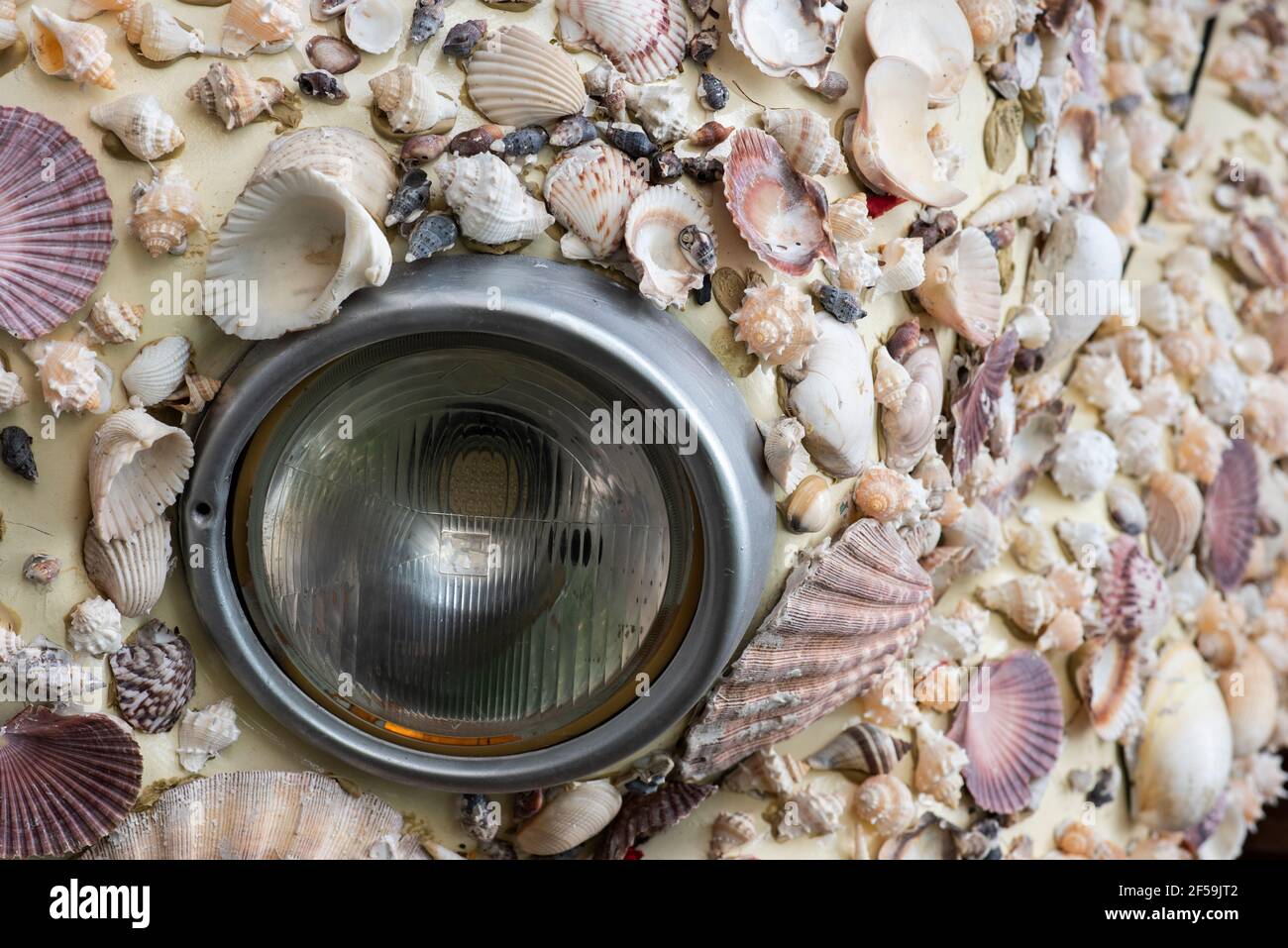 Primo piano di un faro per auto in mezzo a conchiglie marine di varie forme e colori. Concetto di arte grafica moderna Foto Stock