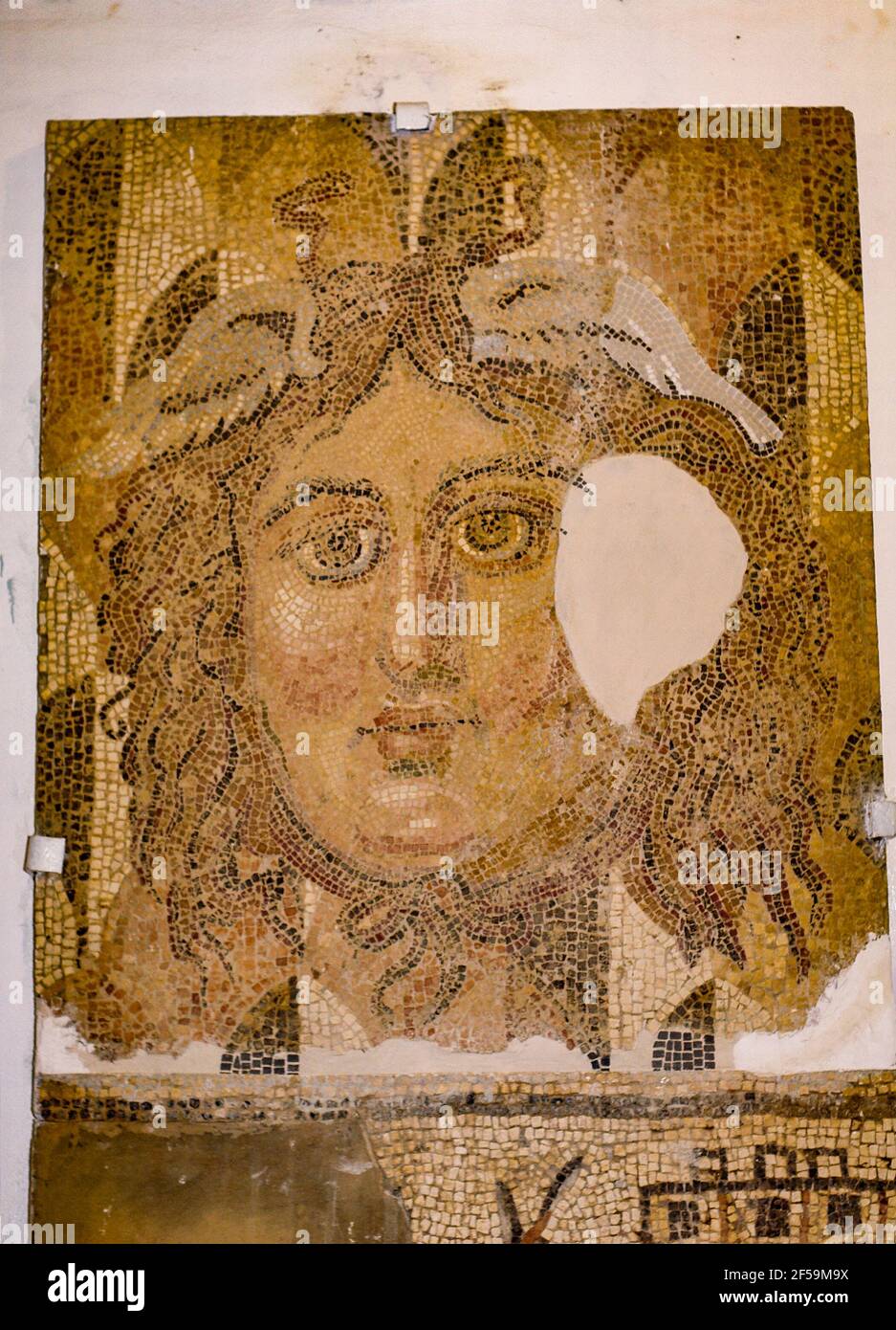 Head, Mosaic, Cyrene Museum, Libia Foto Stock