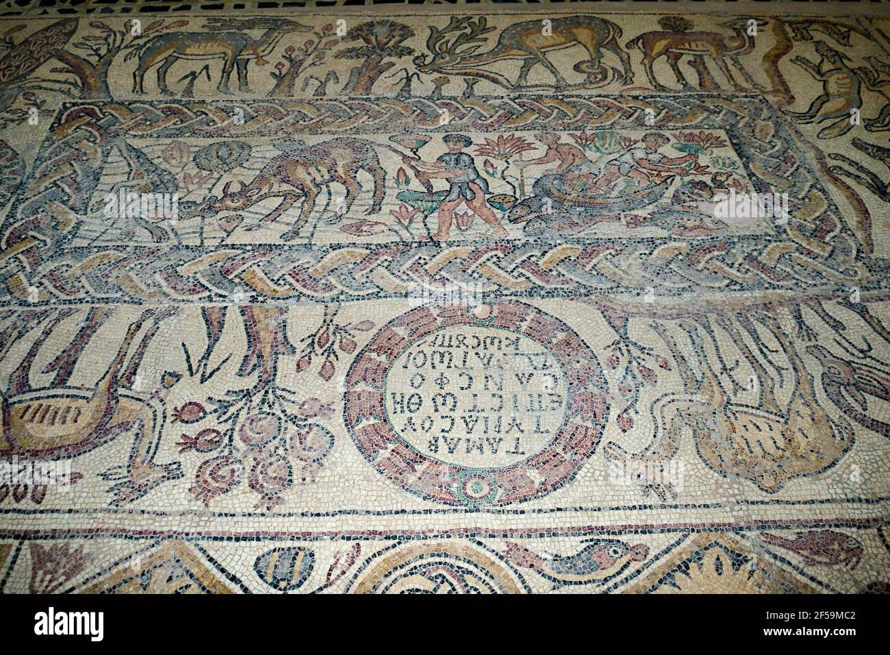 Mosaico animale, Qasr Libia, ex Olbia, Libia Foto Stock
