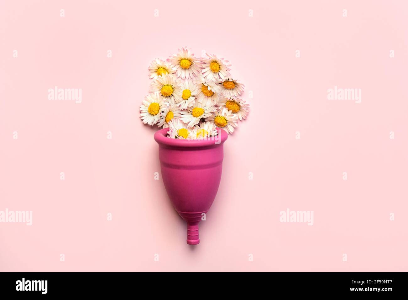 Coppa mestruale in silicone con fiori bianchi a margherita su un rosa Background.Femminile concetto di igiene ginecologica alternativa intima Foto Stock